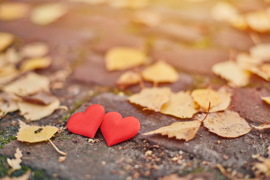 Lerne, Grenzen zu setzen in der Beziehung, um Bevormundung in der Partnerschaft zu vermeiden. Sei mutig, stark und selbstbewusst!