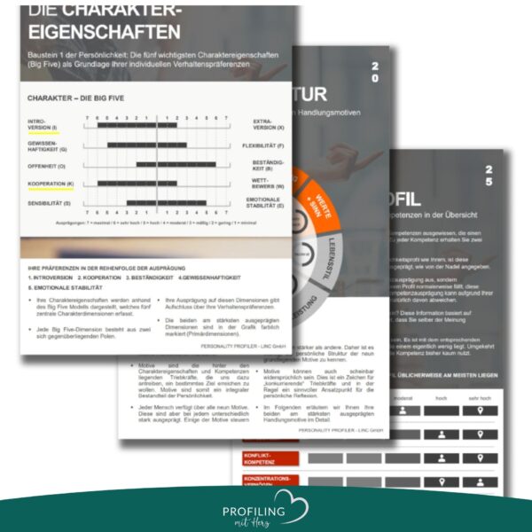 Personality Profiler: Dein Leben, deine Stärken! Finde heraus, was in dir steckt – für Frauen, die endlich ihren inneren Wert erkennen wollen. – Bild 3